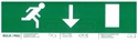 Picture of Bulkhead Pictogram Down Arrow